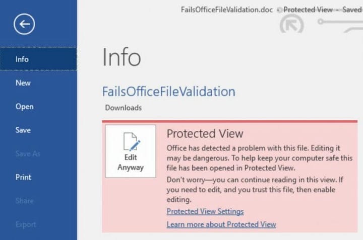 REVISIÓN: Tenga cuidado con los archivos de Internet que pueden contener virus